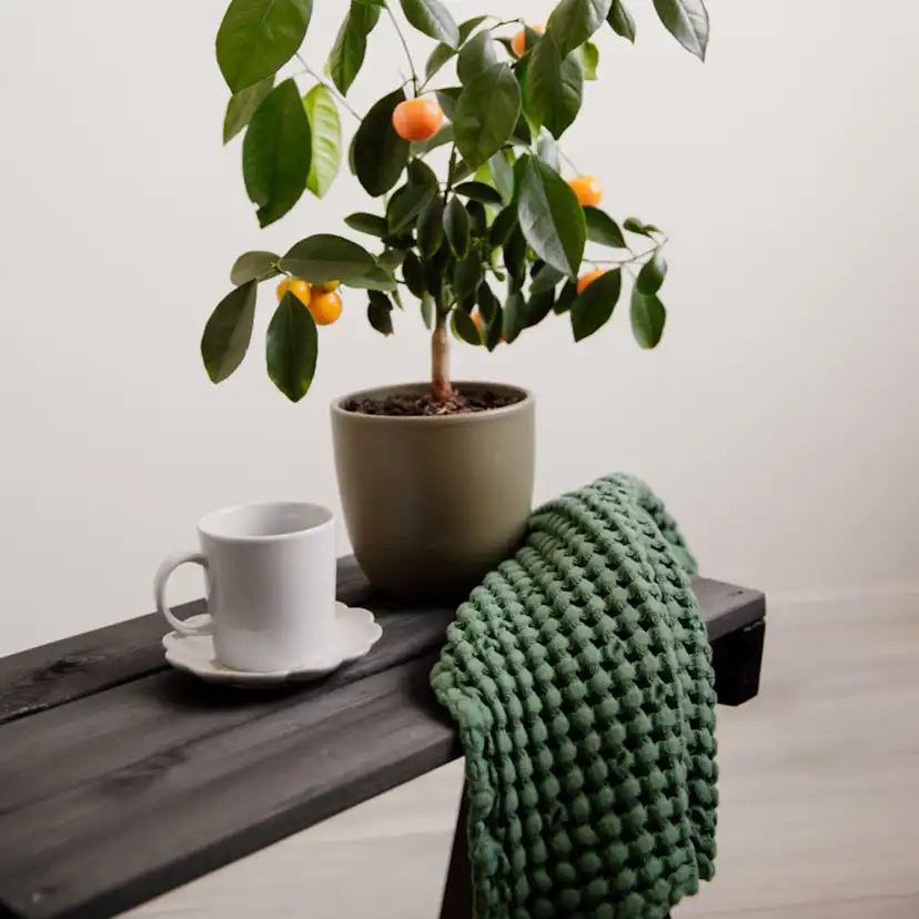 Utebord EcoFurn Granny