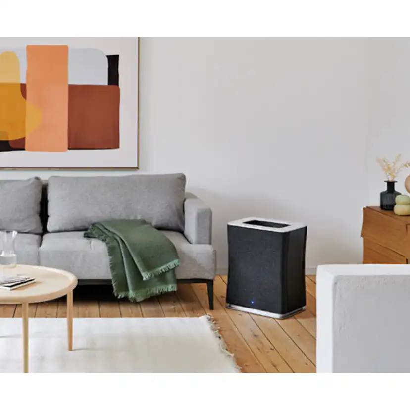 Luftrenare Stadler Form Roger Big