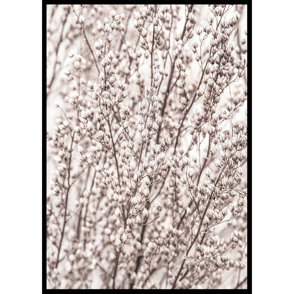 Poster Gallerix Boho Botanical