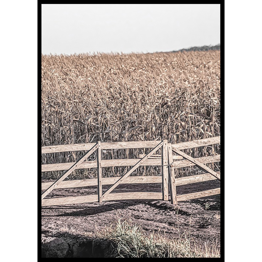 Poster Gallerix Dried Fields