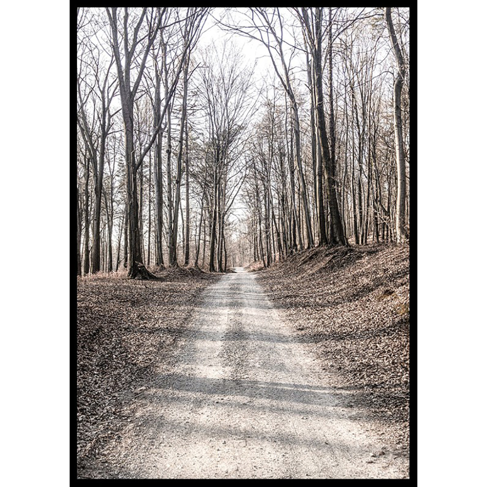Poster Gallerix Gravel Road In Autumn Forest