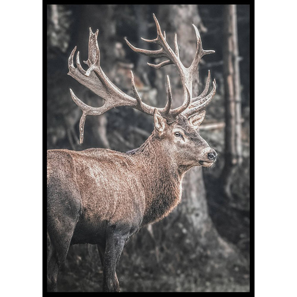 Poster Gallerix Red Deer Rut