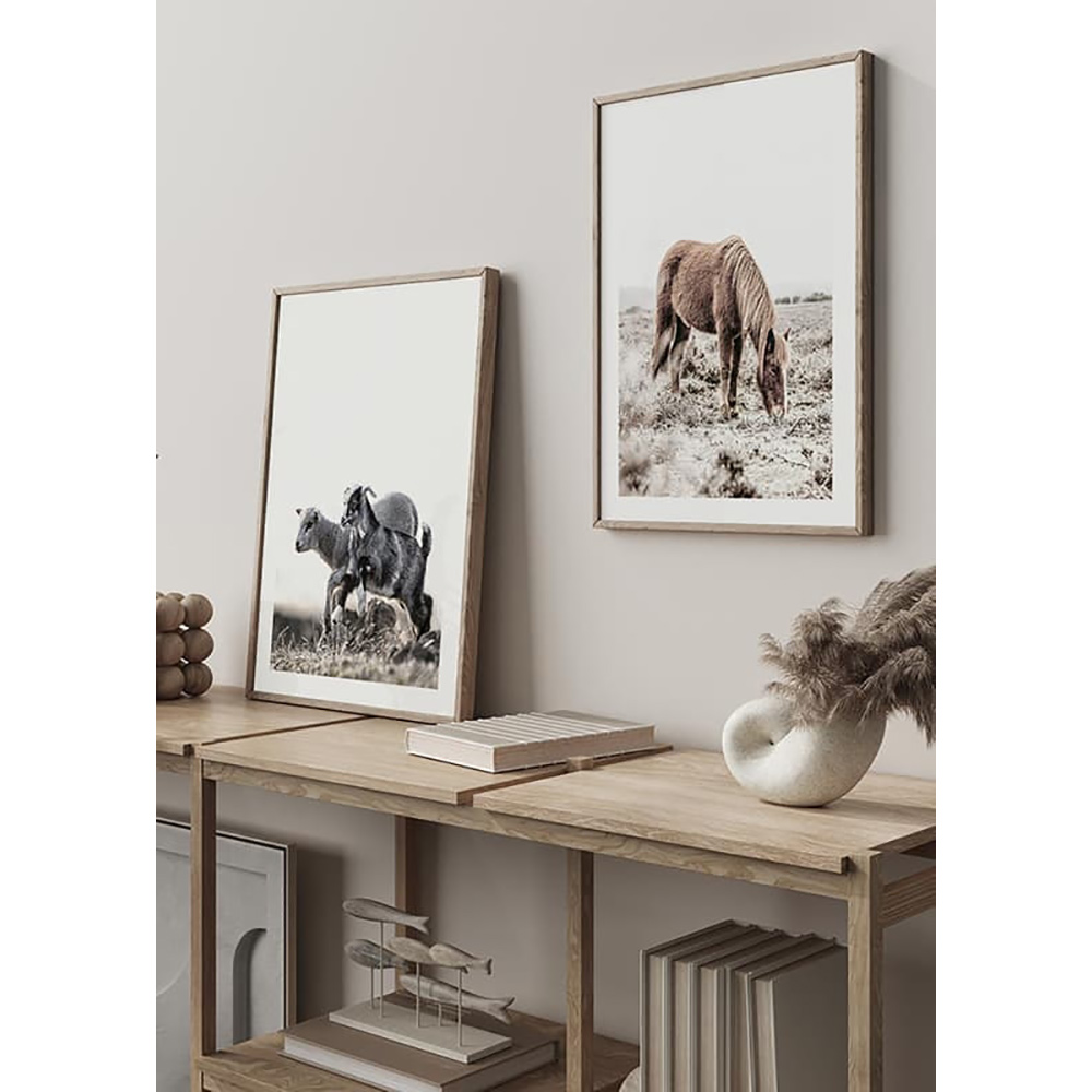 Poster Gallerix Wild Horse In Field