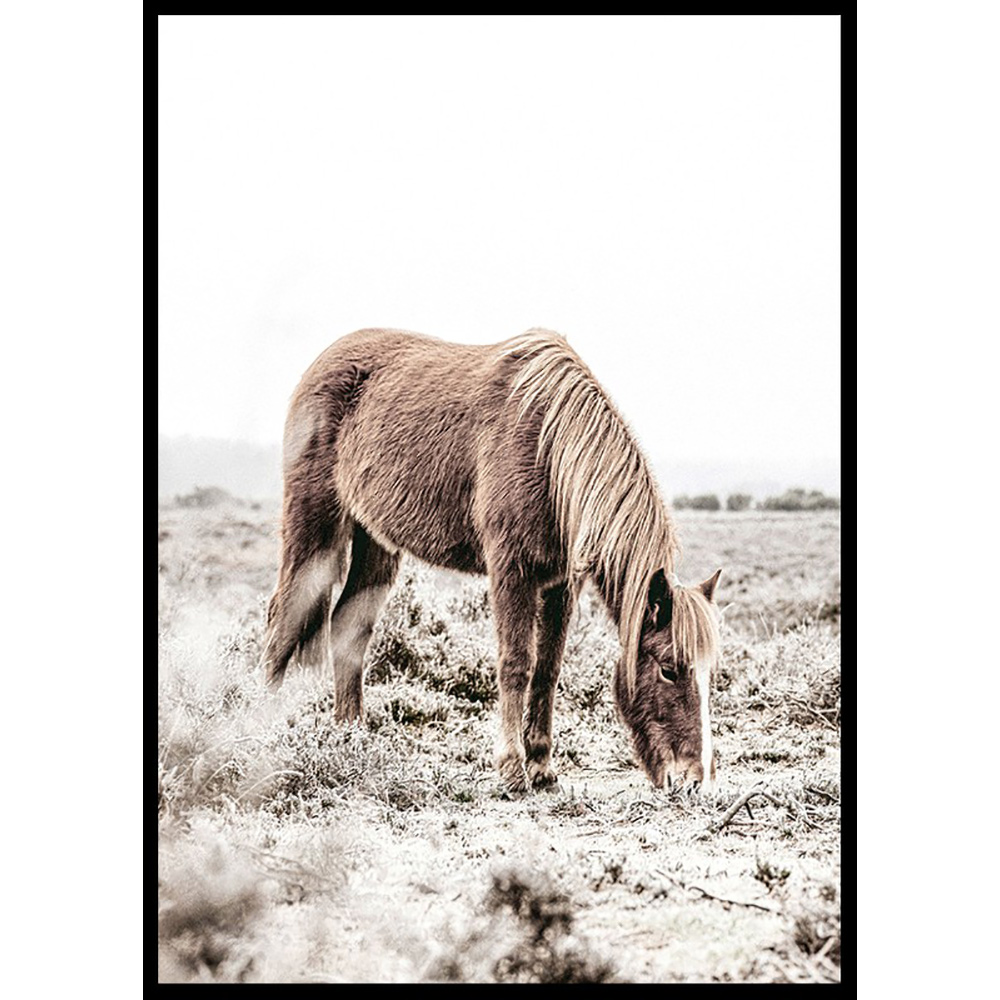 Poster Gallerix Wild Horse In Field