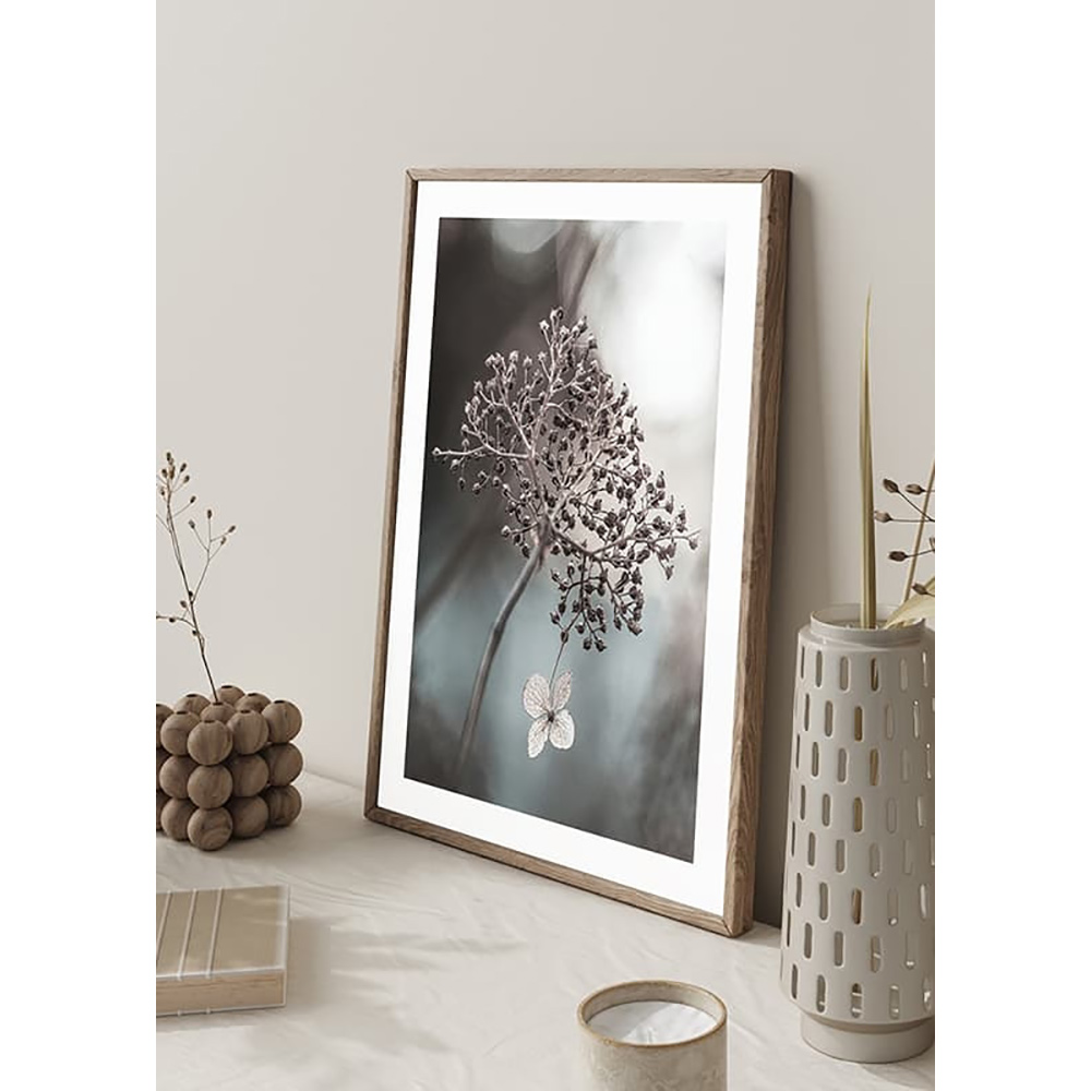 Poster Gallerix One Blossom