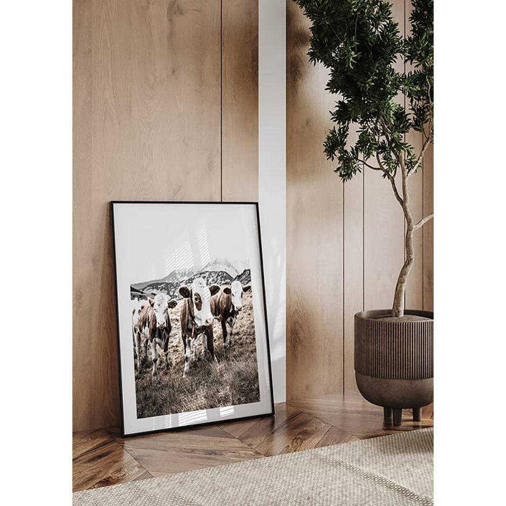 Poster Gallerix Cattle In Field