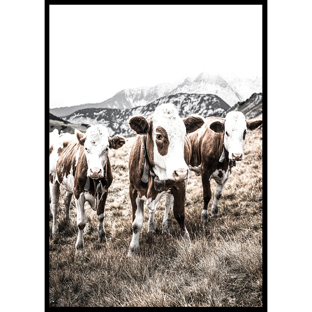 Poster Gallerix Cattle In Field