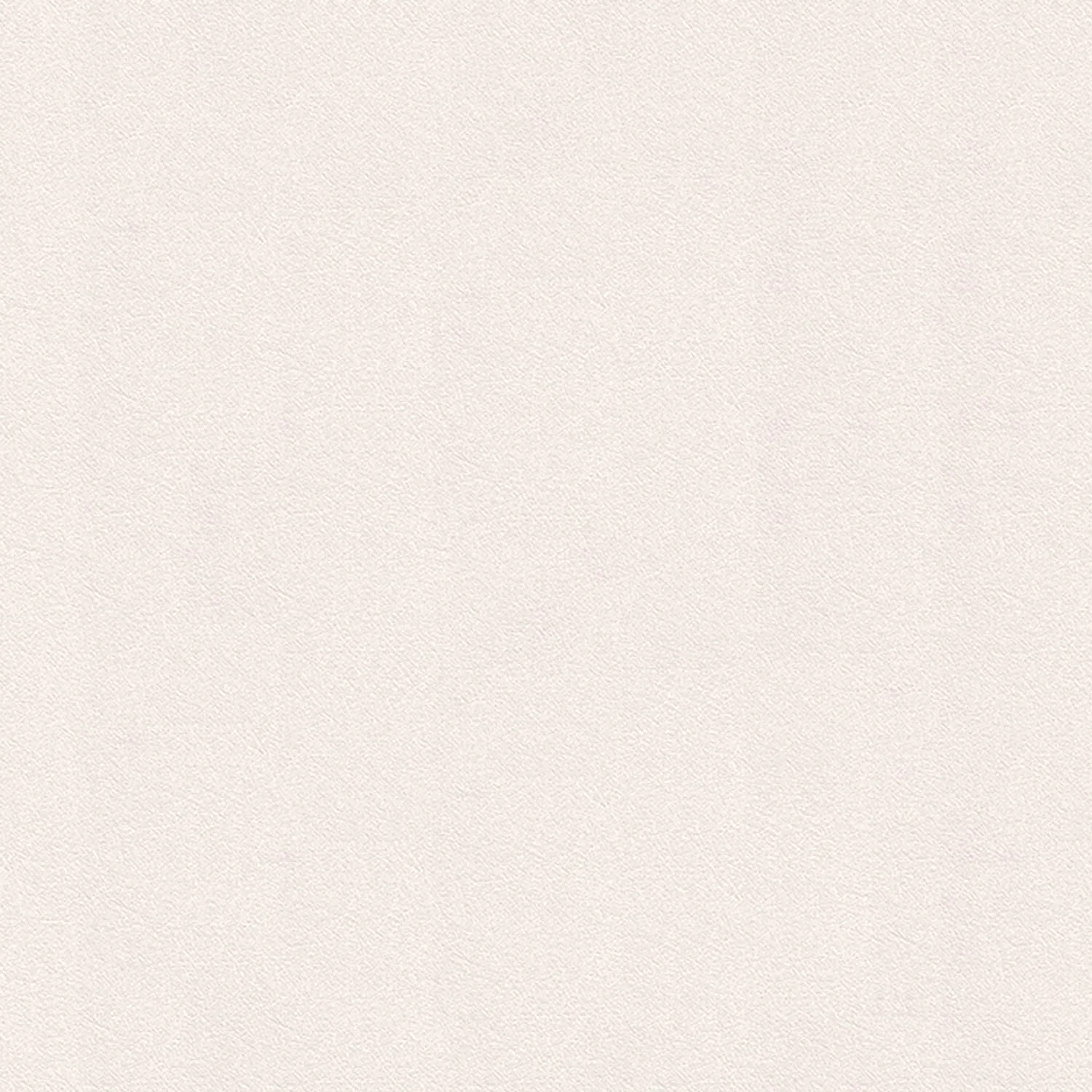 Tapet Wow Tetur 5627395