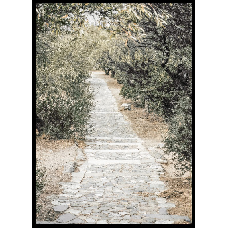 Poster Gallerix Olive Tree Garden