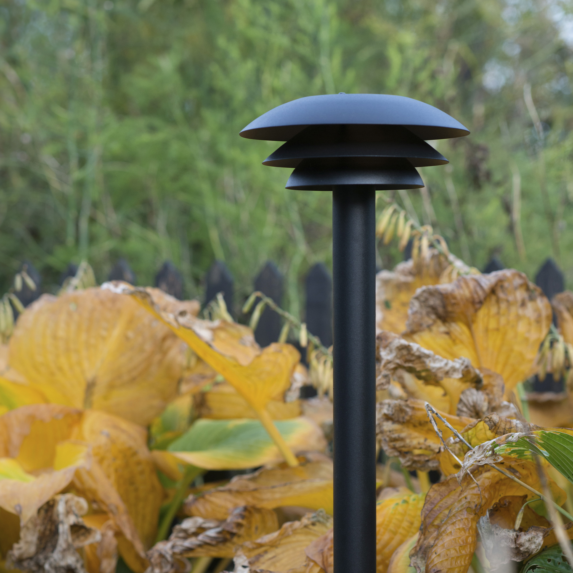 Pollare Dyberg Larsen