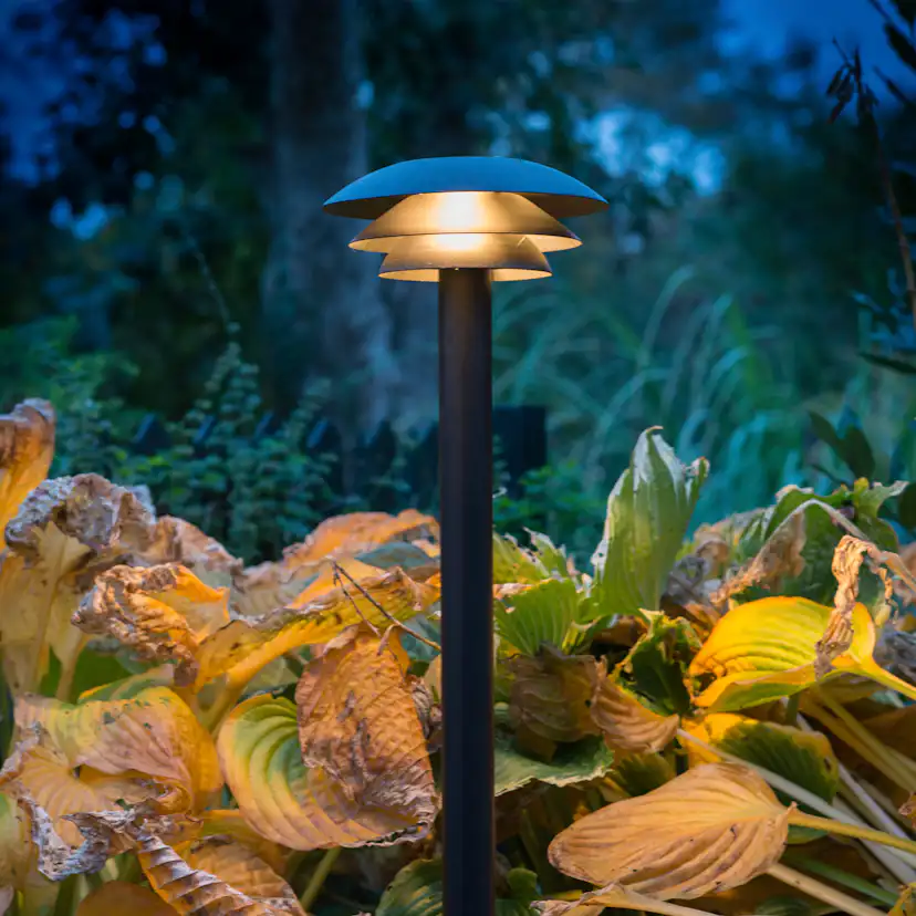 Pollare Dyberg Larsen