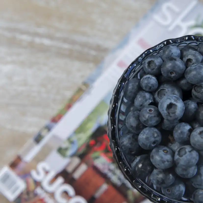 Utebord Hillerstorp Leicester Ø50 cm