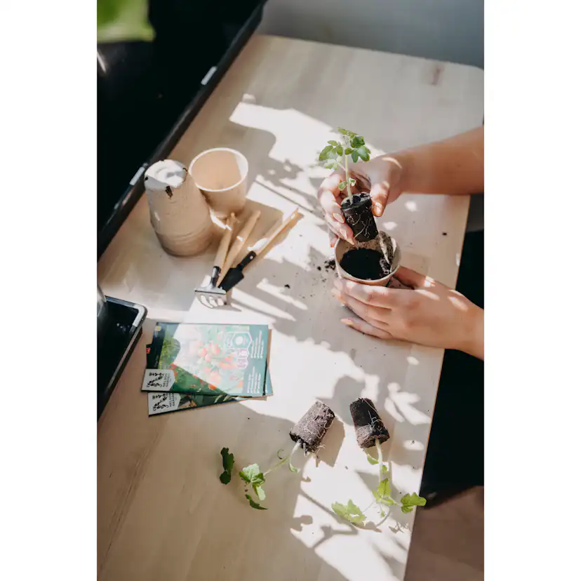 Kruka Nelson Garden Fiber HD Ø8cm 12-Pack