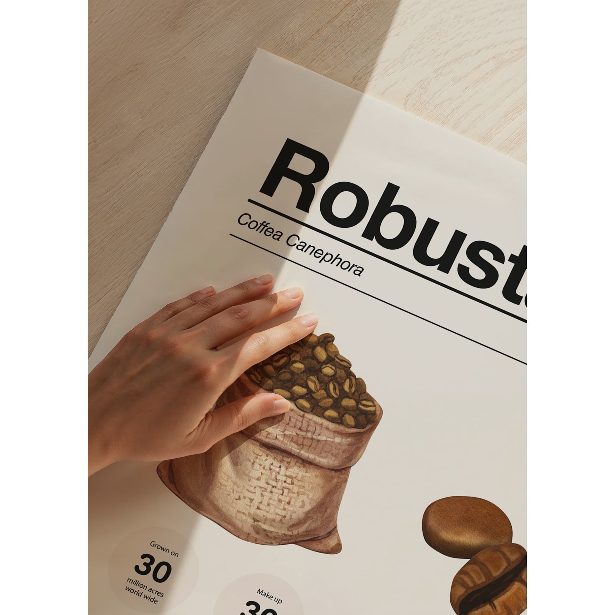 Poster Gallerix Robusta Coffee Beans