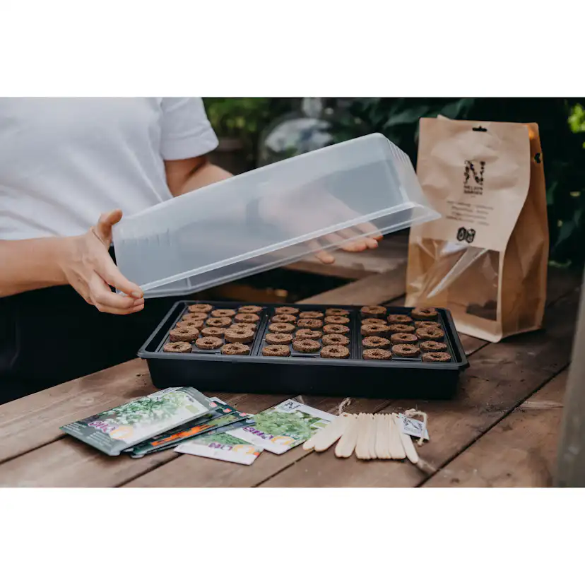 Drivhus Nelson Garden Mini Air Med Brätte & Plugg 24x38cm