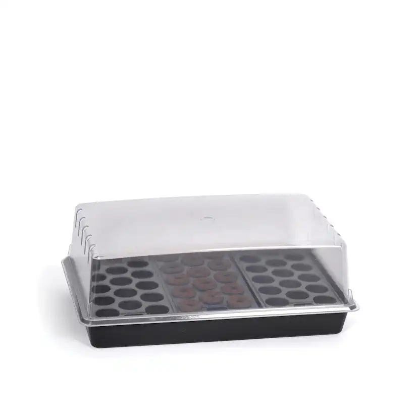 Drivhus Nelson Garden Mini Air Med Brätte & Plugg 24x38cm