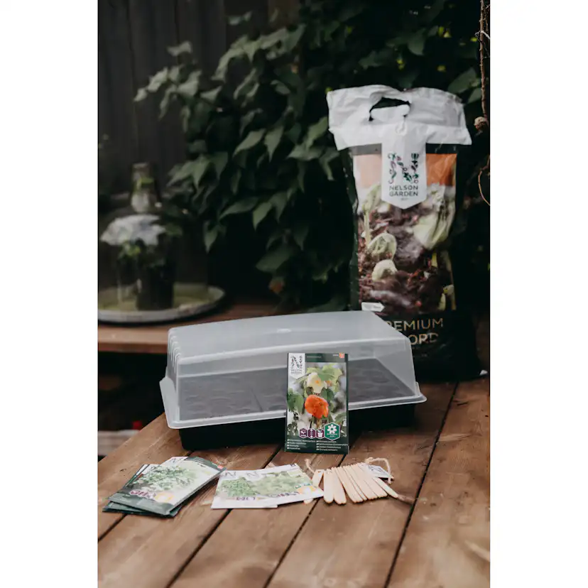 Drivhus Nelson Garden Mini Air Med Brätte & Plugg 24x38cm