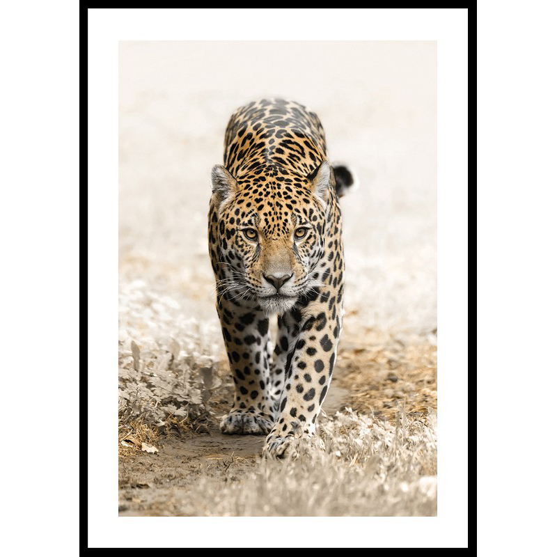 Poster Gallerix Jaguar