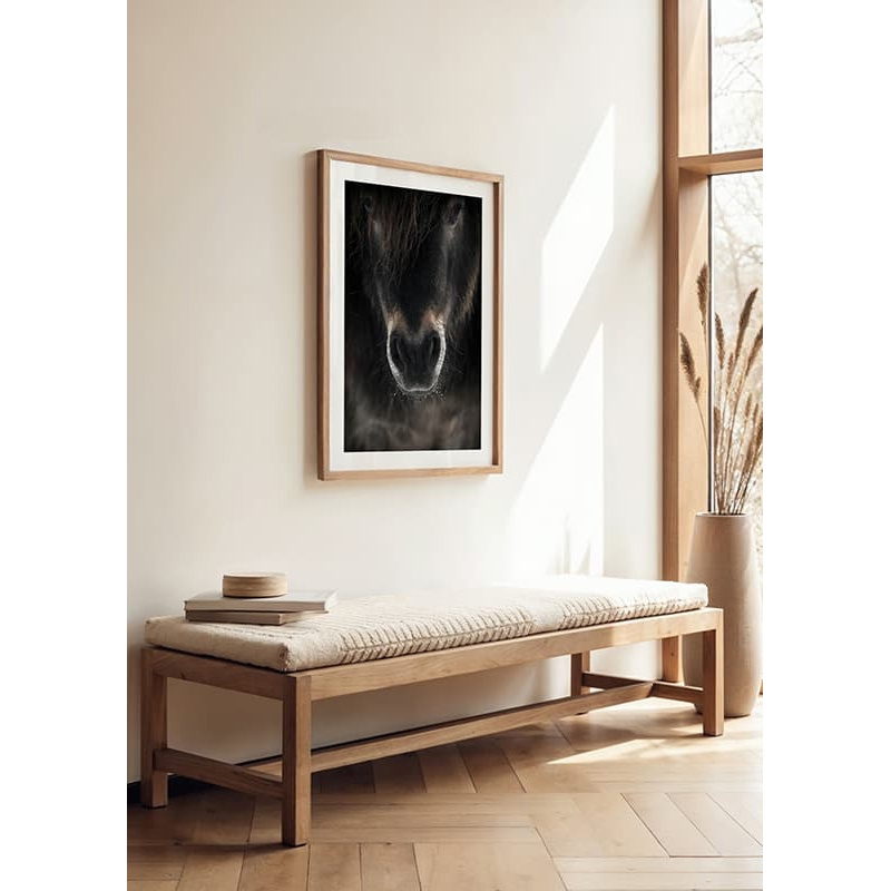 Poster Gallerix Horse Mule