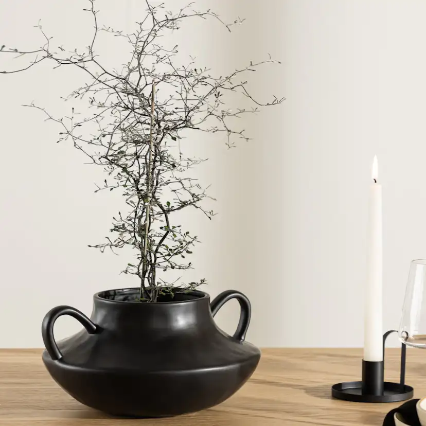 Kruka Venture Home Holda