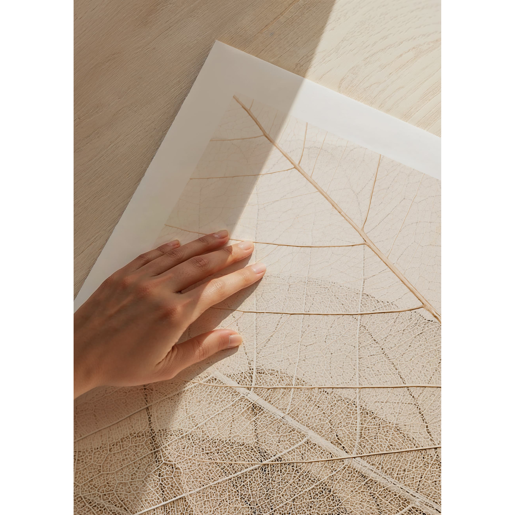 Poster Gallerix Layers Of Thin Leaves