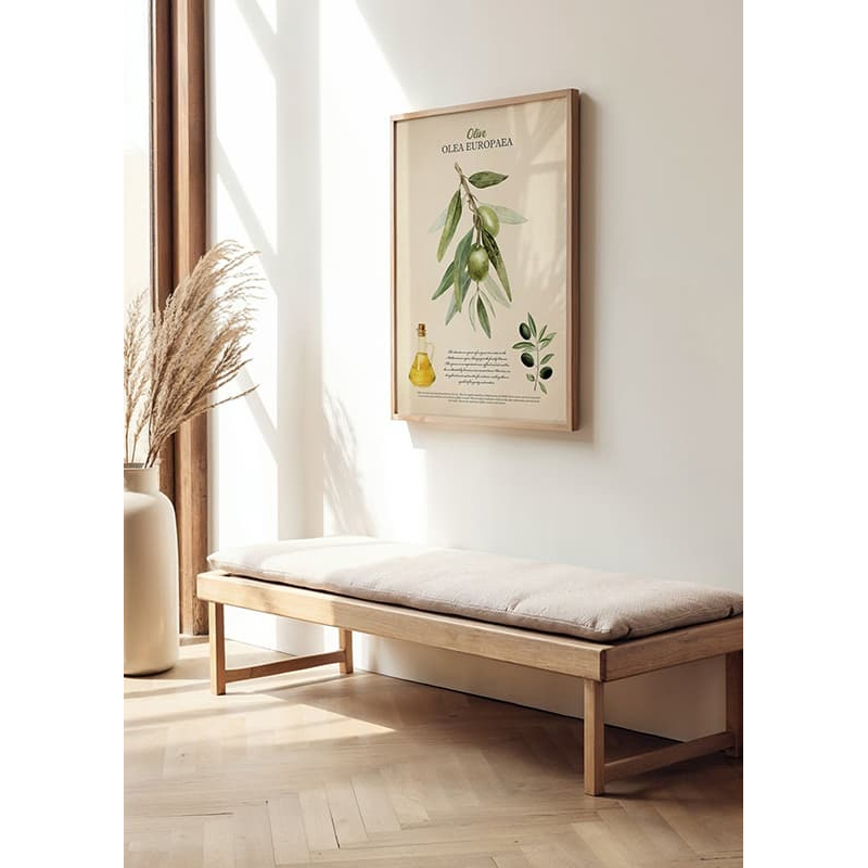 Poster Gallerix Olive Olea Europaea