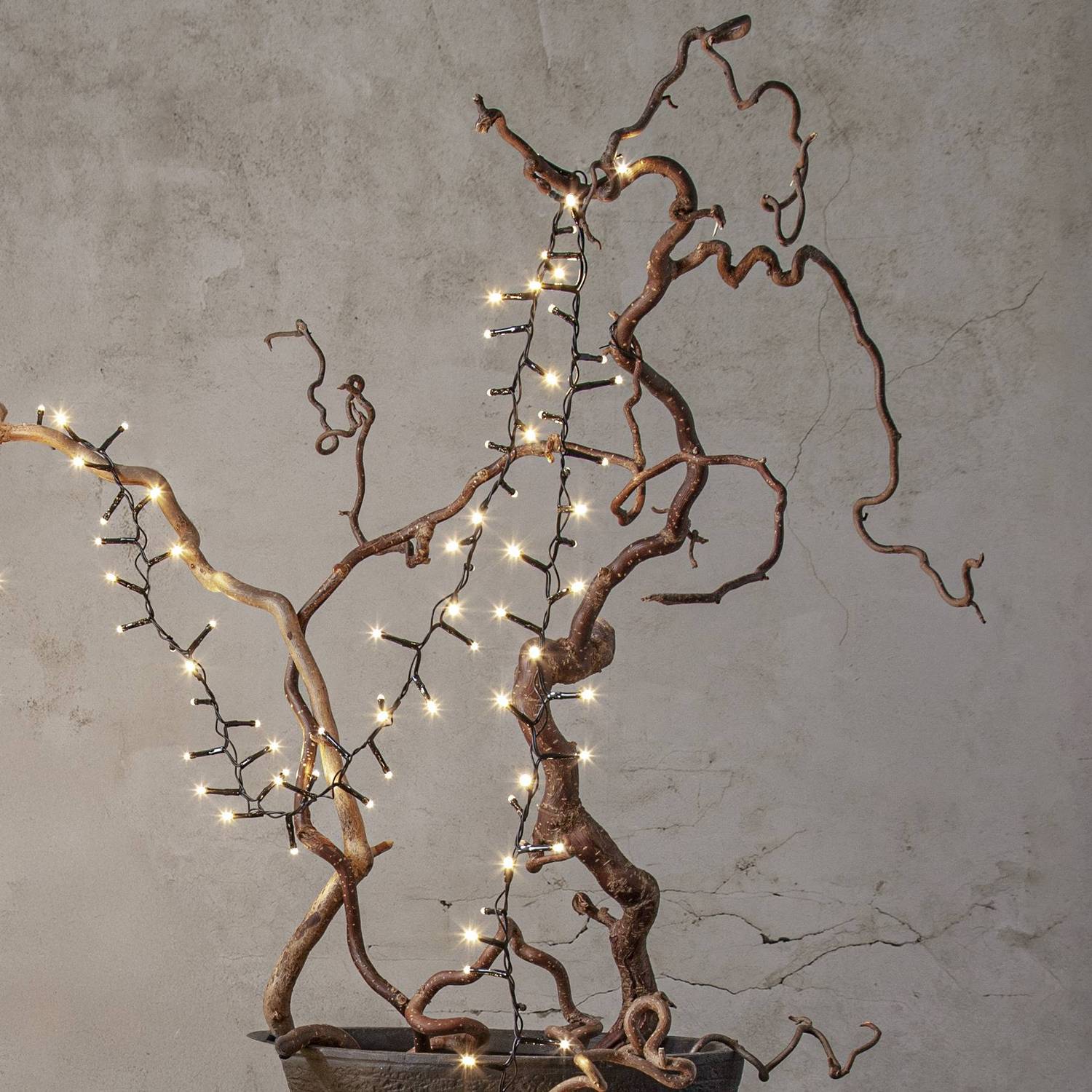 Ljusslinga Star Trading Shiny Warm White Utomhus 5,5 meter 80 LED-lampor