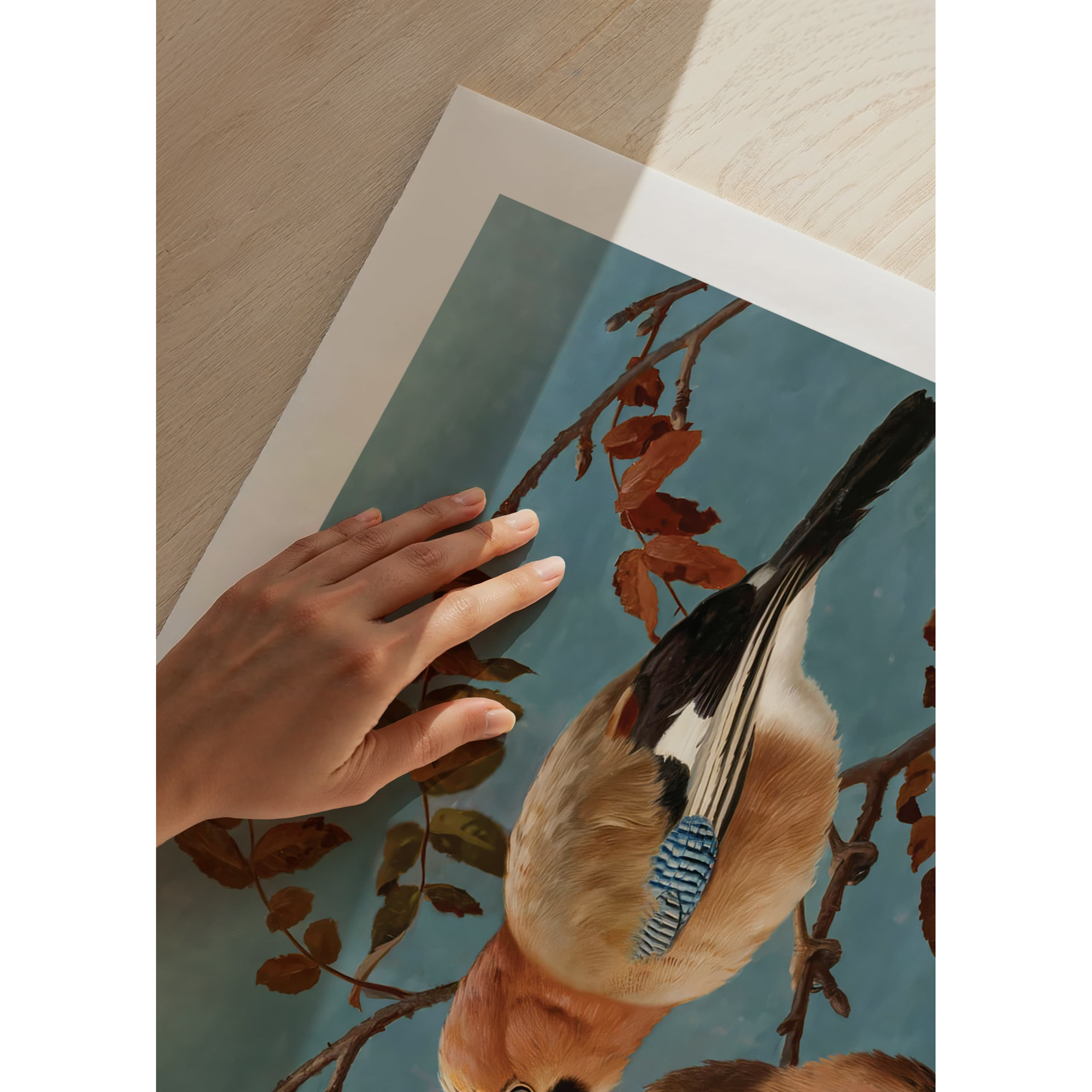 Poster Gallerix Jays By Ferdinand Von Wright