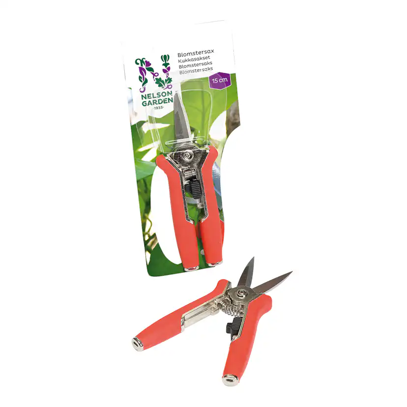 Blomstersax Nelson Garden