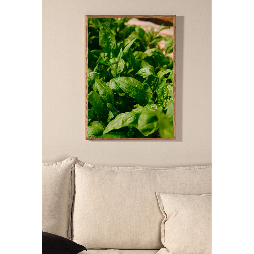 Posters Venture Home Green Leaf Grön