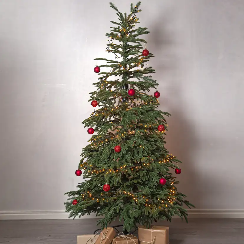 Plastgran Star Trading Edane 210 cm