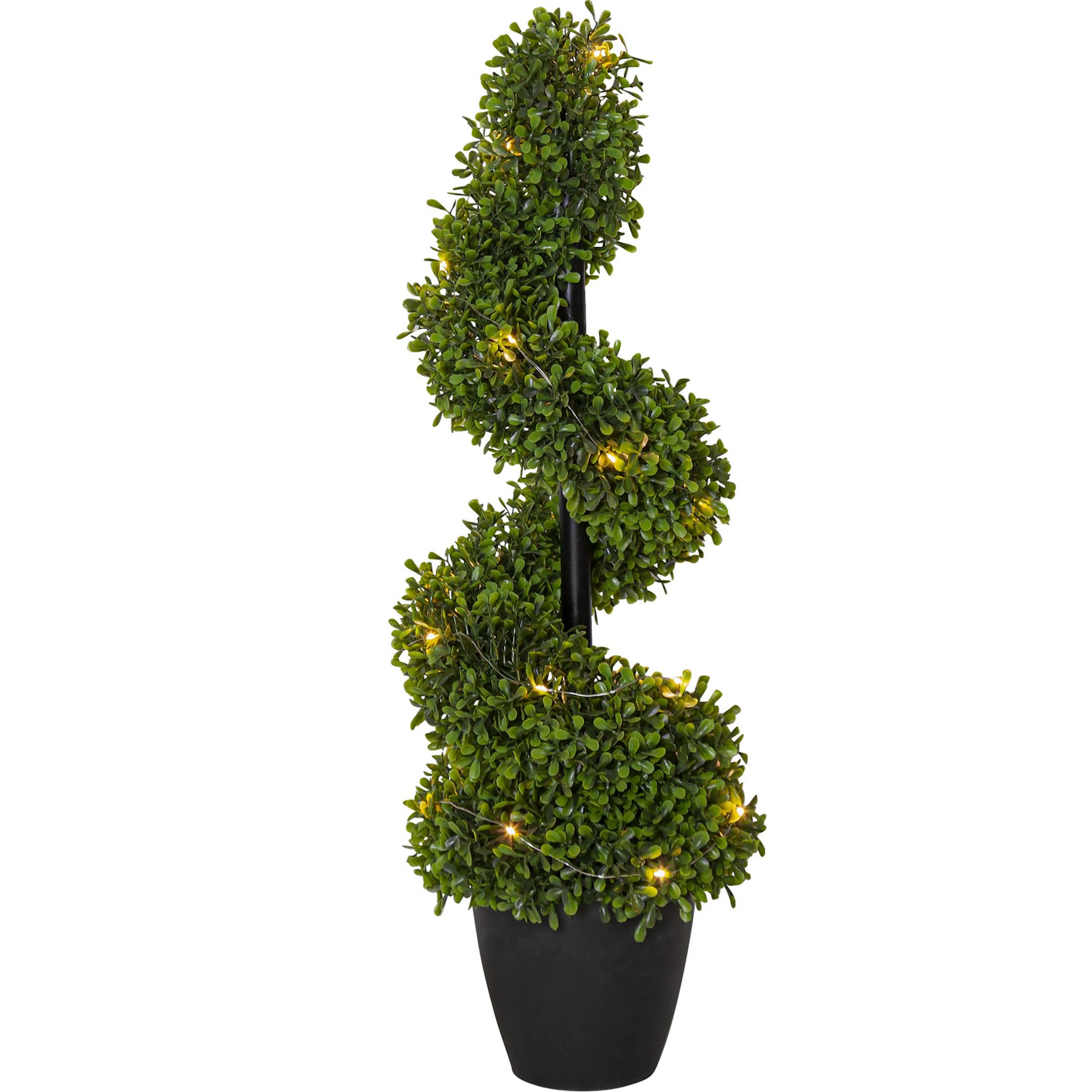 Dekorationsträd Star Trading Buxbom 65 cm 20L