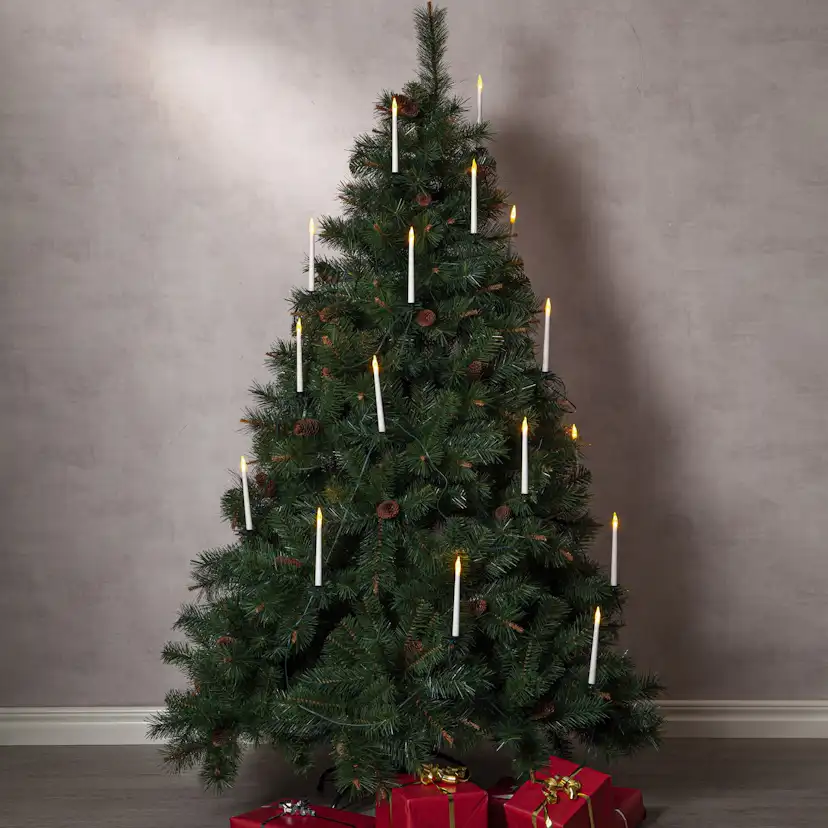 Plastgran Star Trading Toronto 180 cm