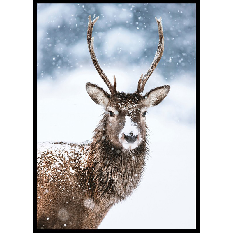 Poster Gallerix Winter Buck In Snow