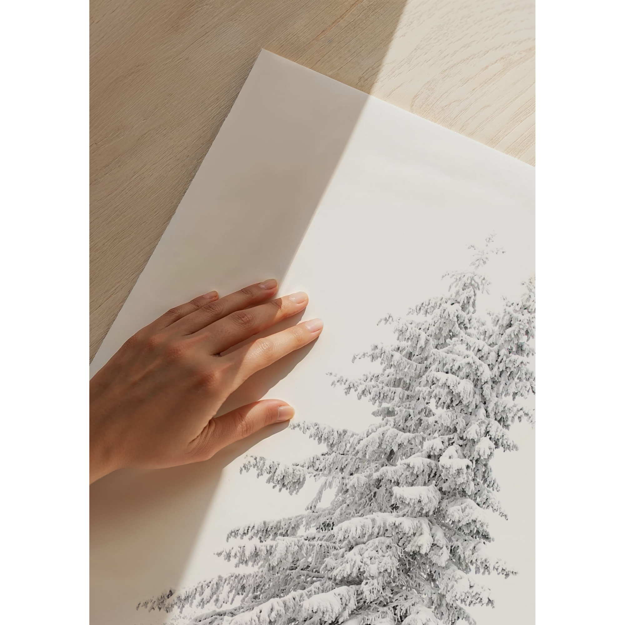 Poster Gallerix Snow Covered Pine Trees