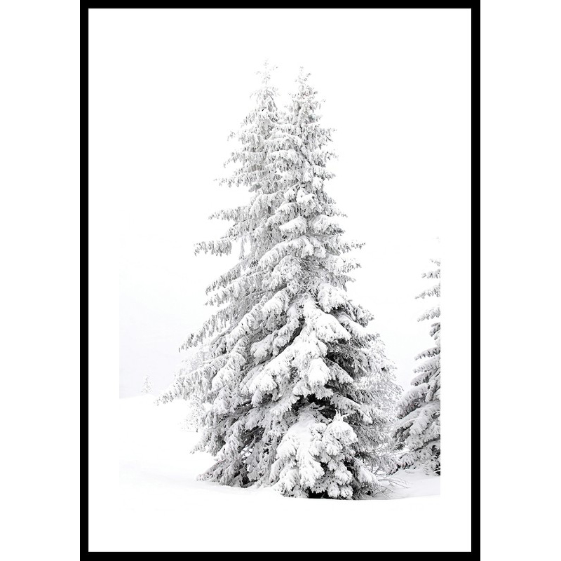 Poster Gallerix Snow Covered Pine Trees