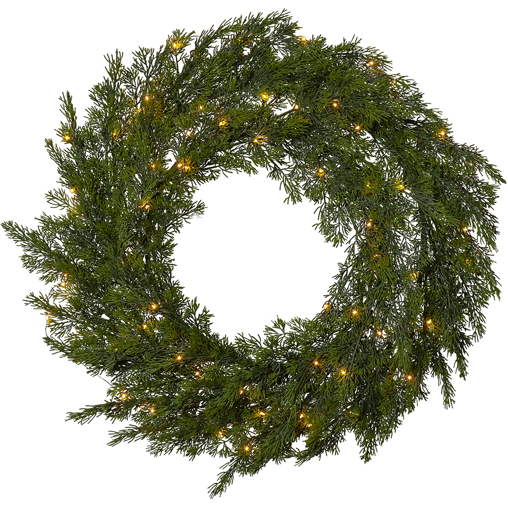 Krans Star Trading Thuja