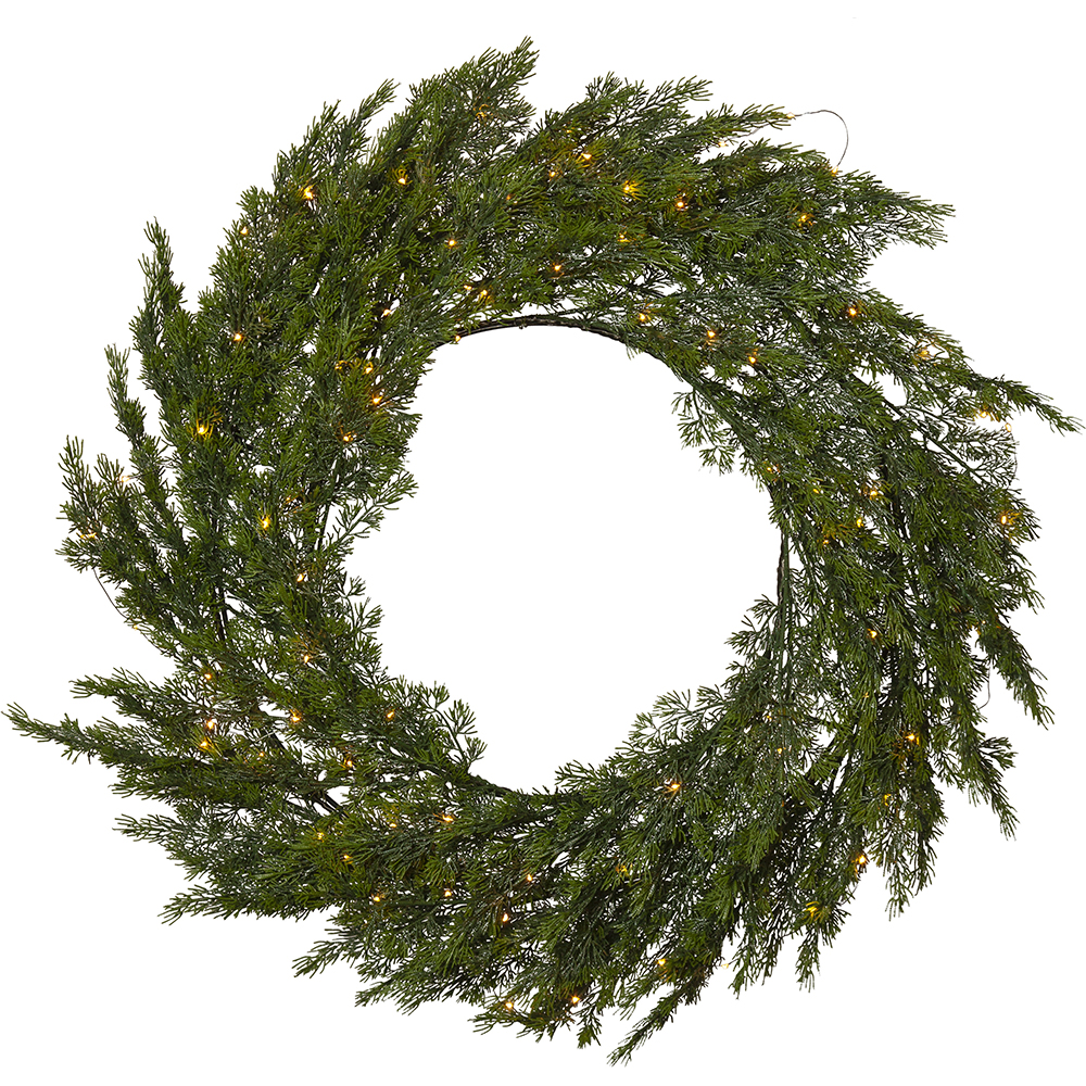 Krans Star Trading Thuja