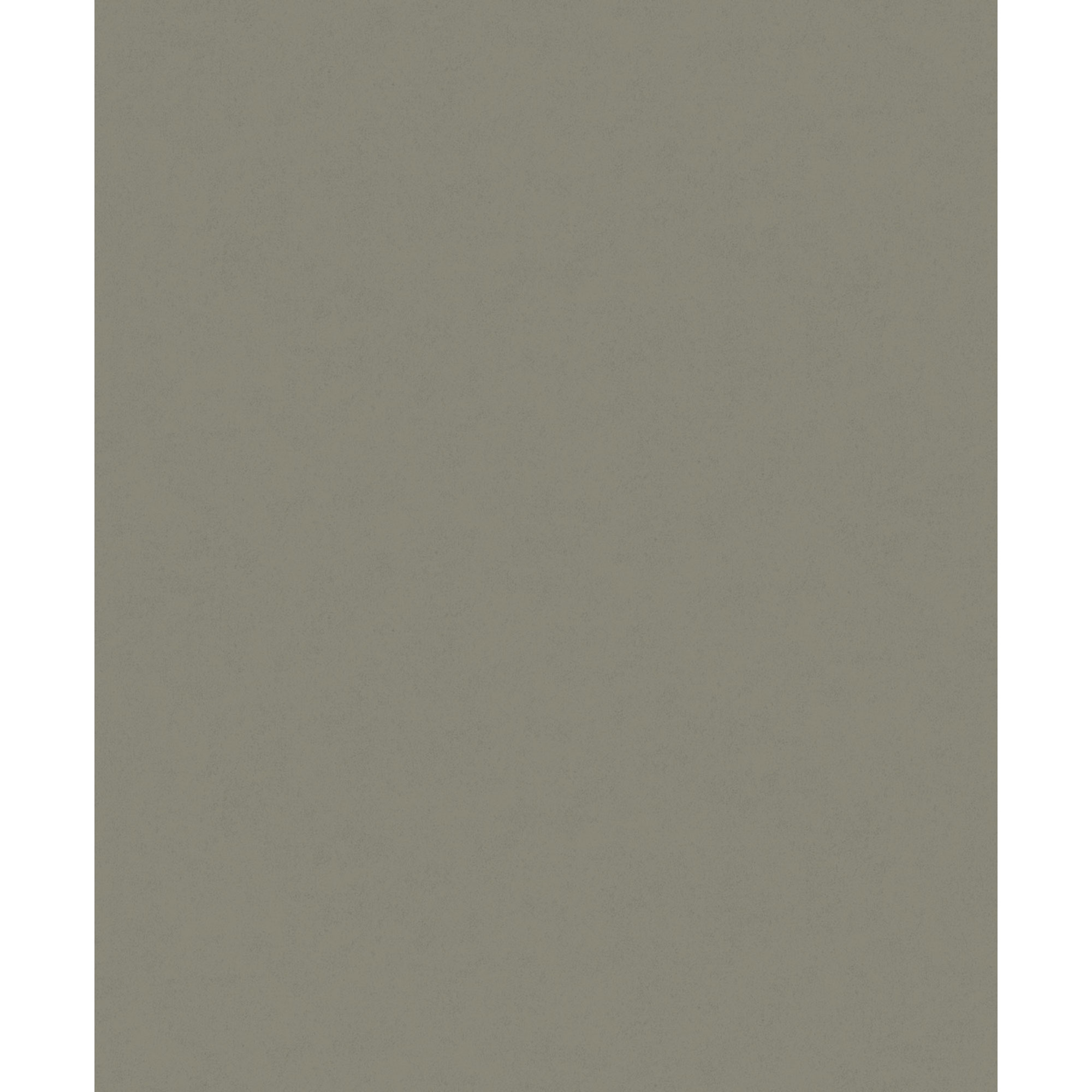 Tapet Fiona Concrete Experience 630424