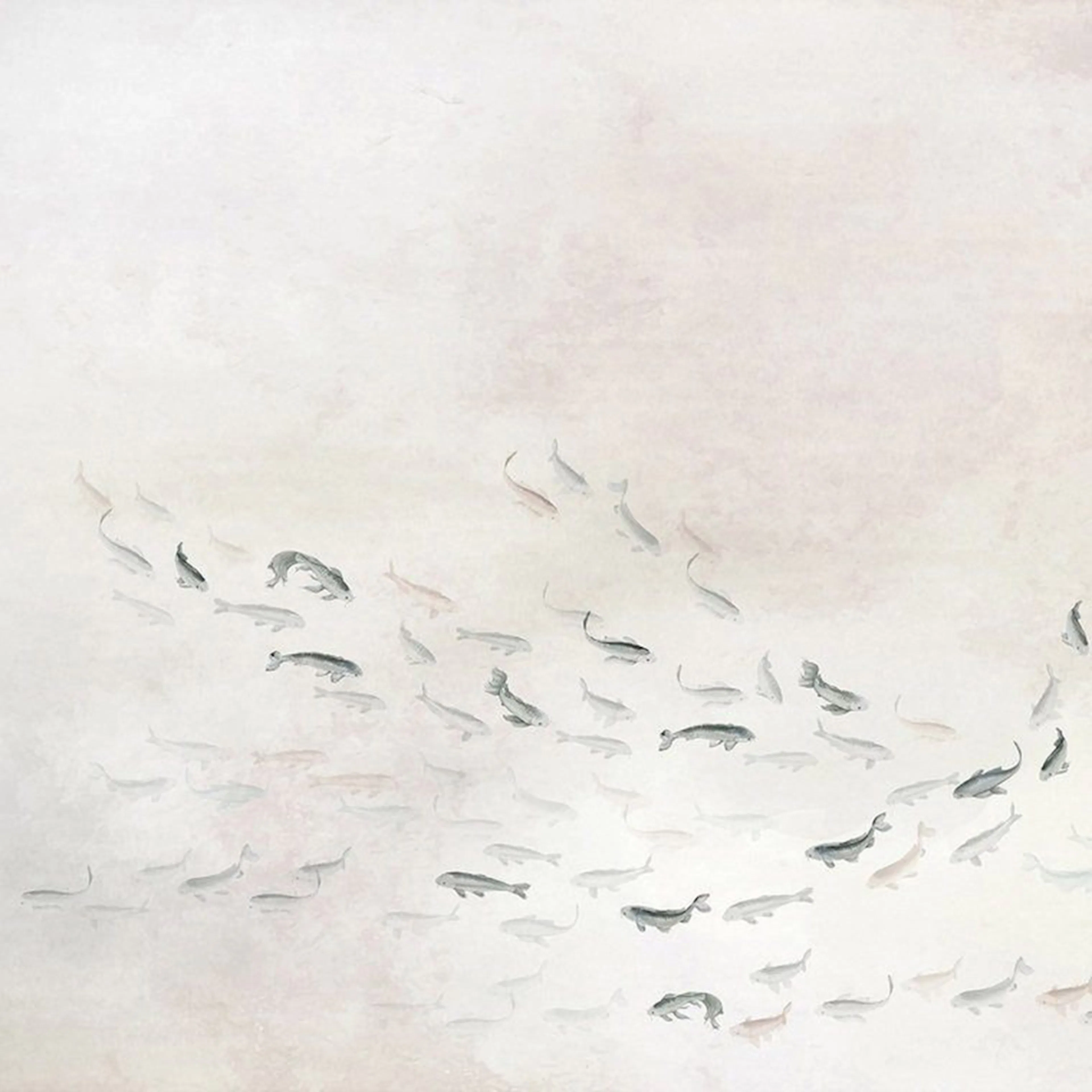 Tapet Coordonné Core 6600081