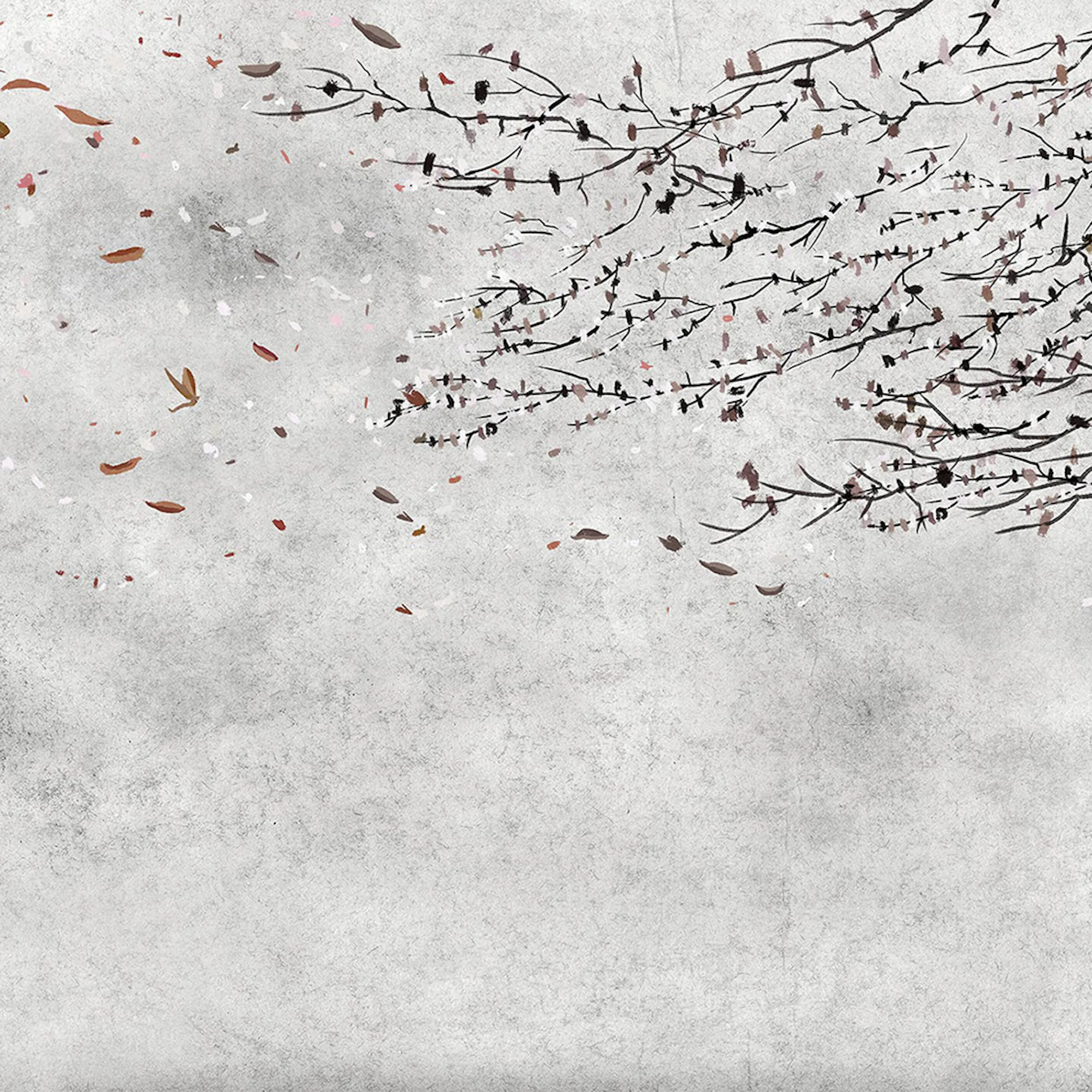 Tapet Coordonné Core 6600085