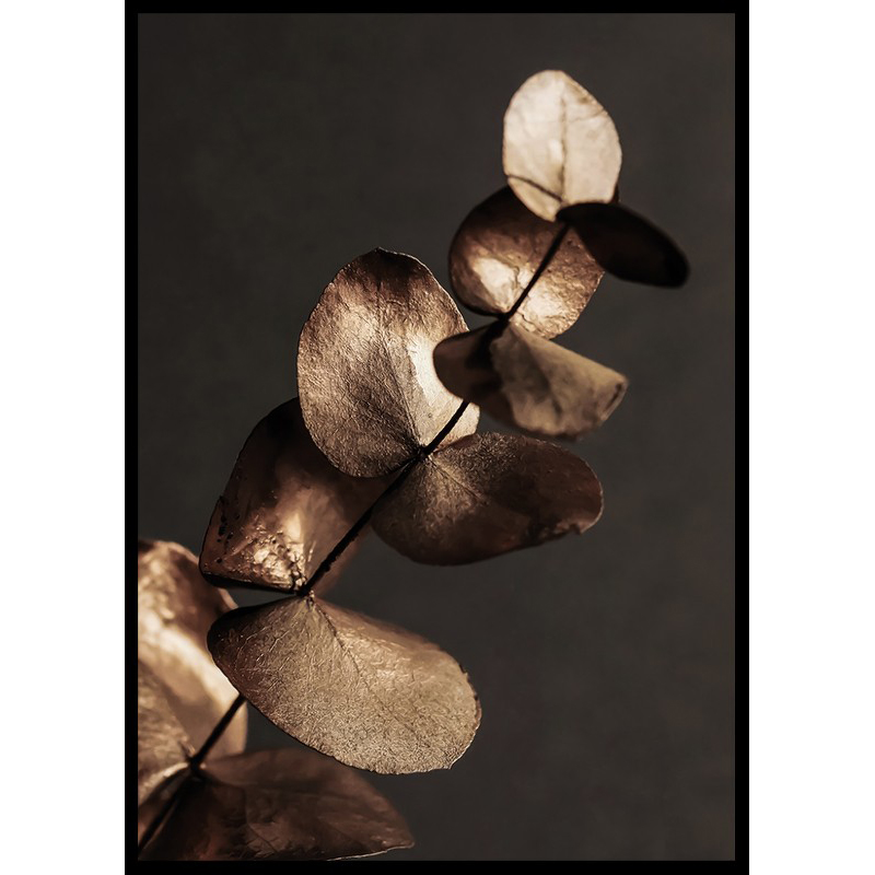 Poster Gallerix Eucalyptus Gold & Brown