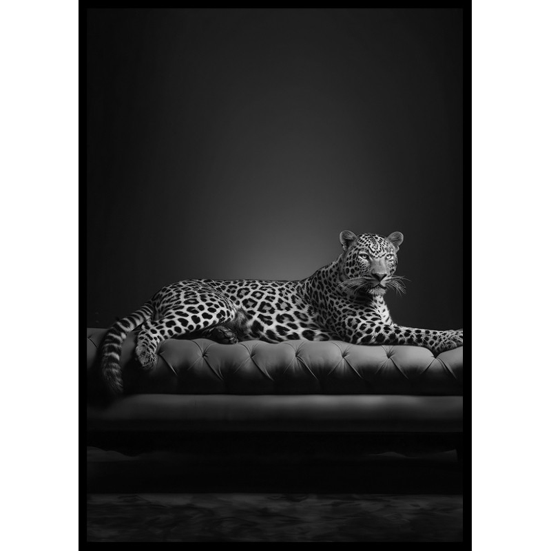 Poster Gallerix The Pet Leopard B&W