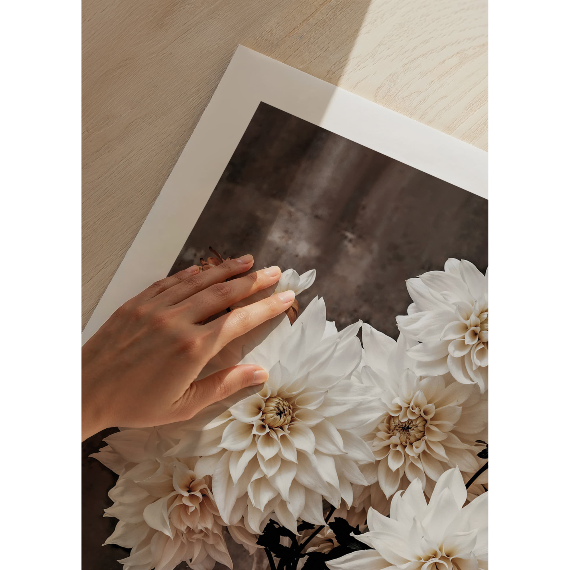 Poster Gallerix Dahlia Flower Pot