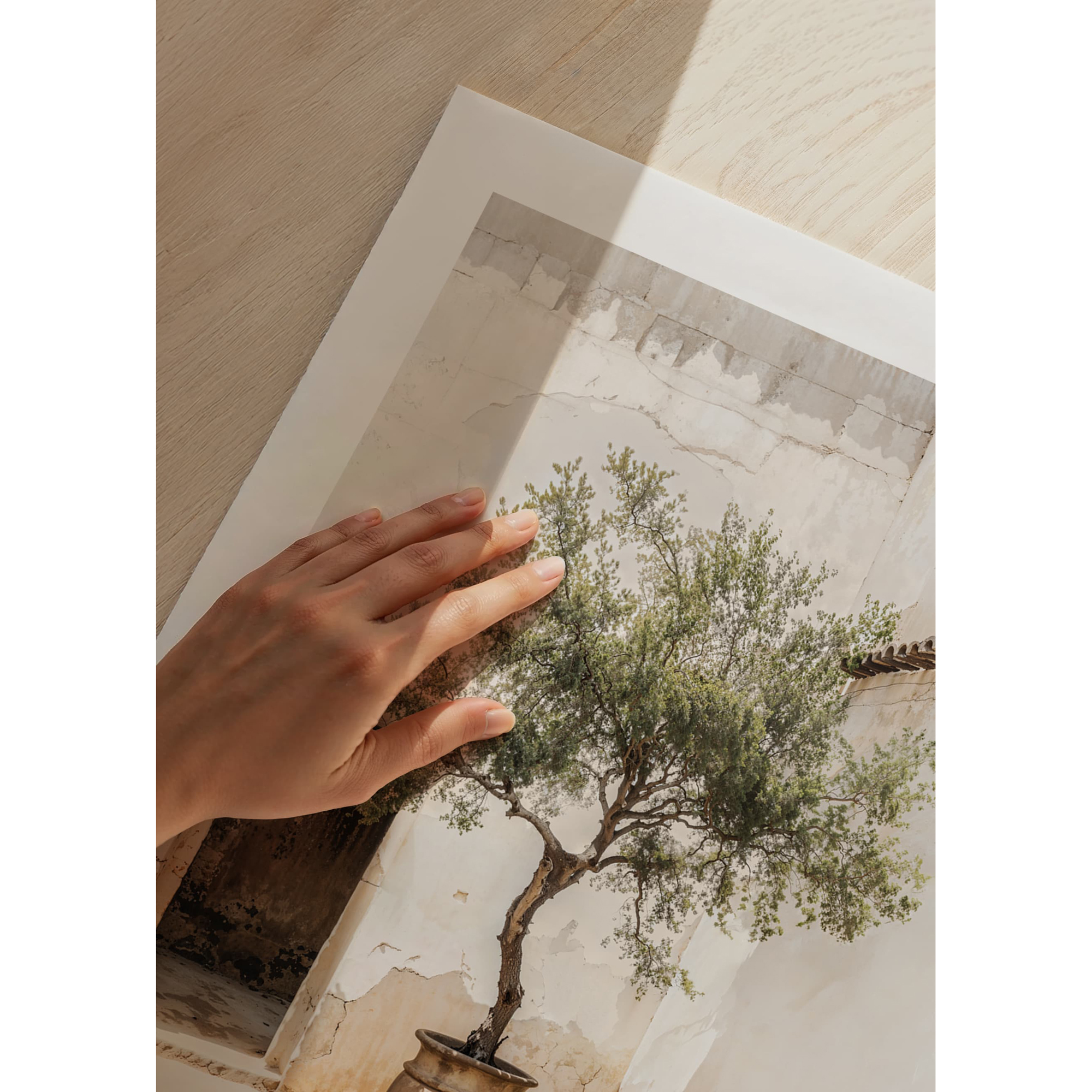 Poster Gallerix Olive Tree Mediterranean Setting No2