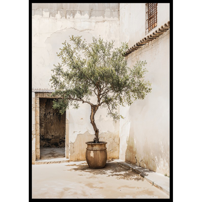 Poster Gallerix Olive Tree Mediterranean Setting No2