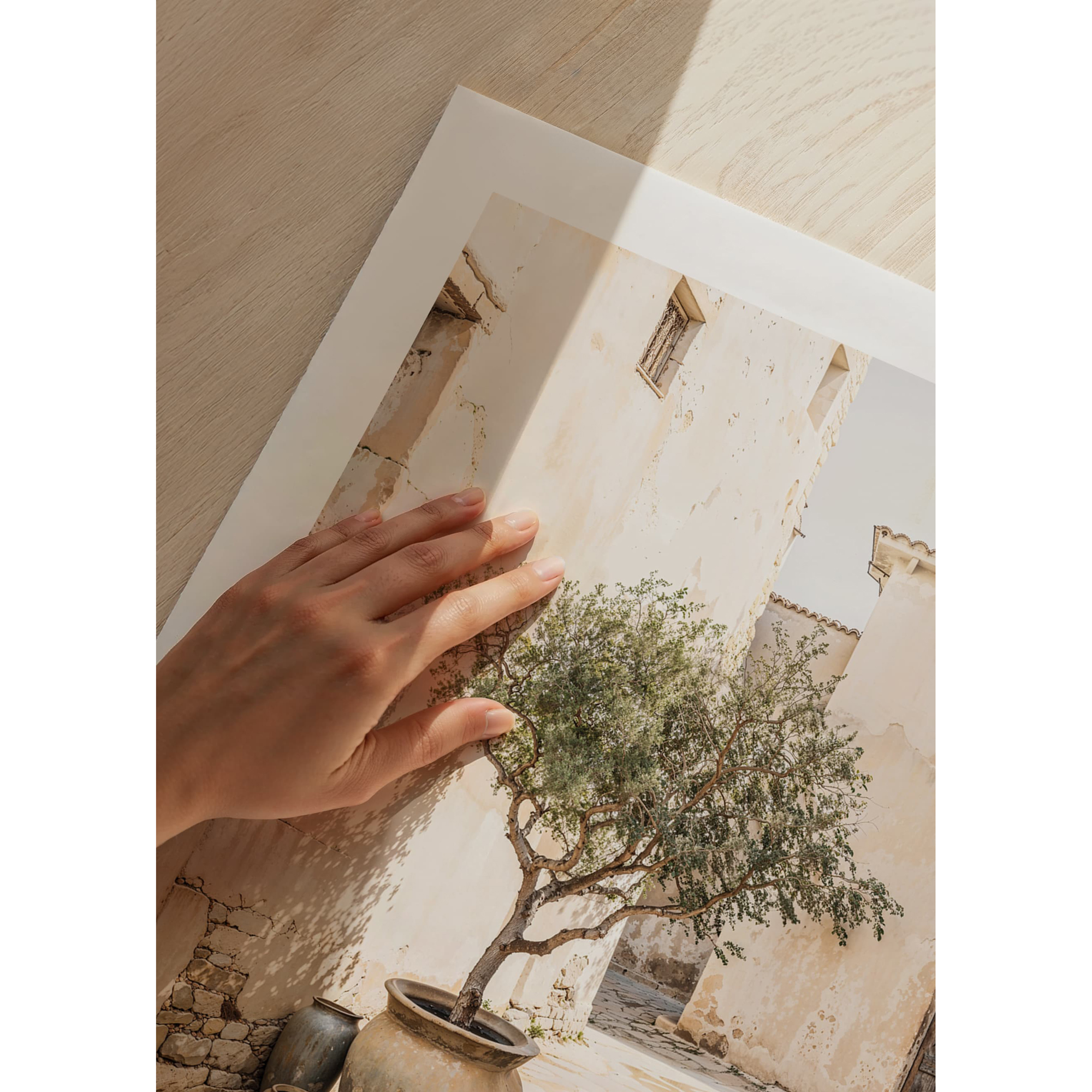 Poster Gallerix Olive Tree Mediterranean Setting No1