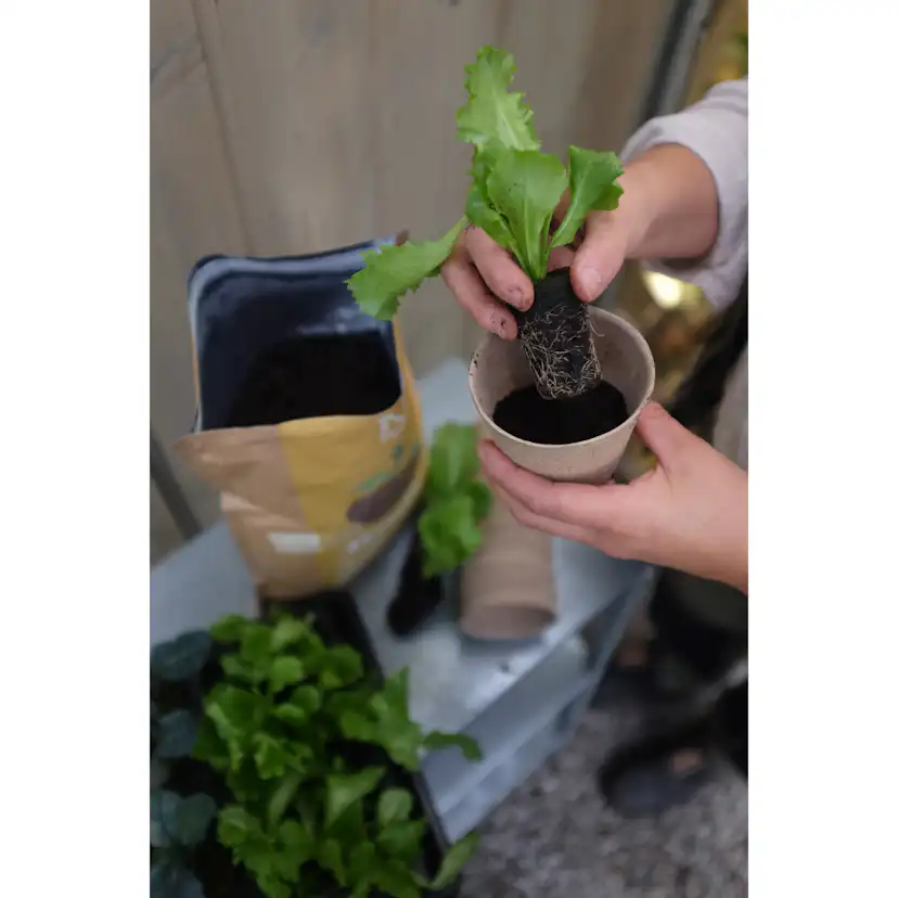 Växtnäring Nelson Garden Root Bio-Humus Krav 4 L