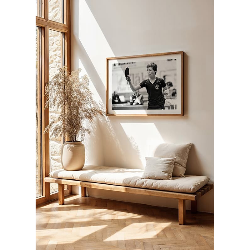 Poster Gallerix Jan-Ove Waldner 1981