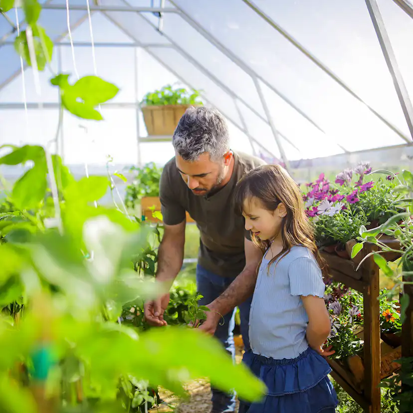 Växthus Canopia by Palram Balance 8,9 m²